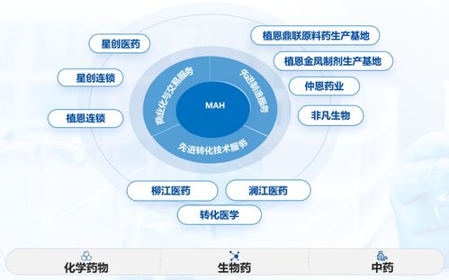 植恩生物 藥品全生命周期管理與遠(yuǎn)程健康服務(wù)的融合創(chuàng)新——聚焦南京MAH與DDS戰(zhàn)略